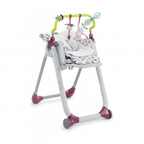    Chicco Polly Progres5 (79590.00)