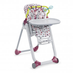    Chicco Polly Progres5 (79590.00) 3