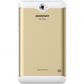  Assistant -757G gold 6