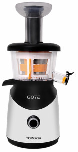  Gotie GSJ-400W