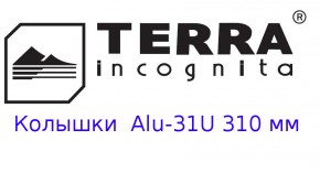  Terra Incognita Alu-31U 310 