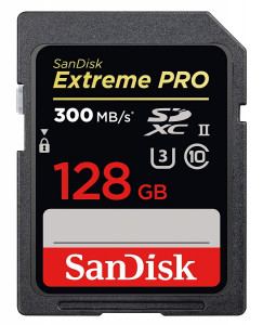  ' SanDisk 128GB SDXC C10 (SDSDXPK-128G-GN4IN)