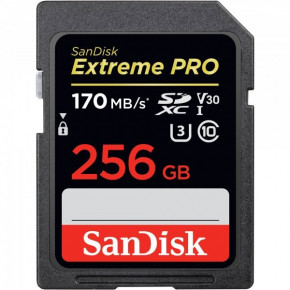   SanDisk 256GB SDXC C10 (SDSDXXY-256G-GN4IN)