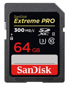   SanDisk SDSDXPK-064G-GN4IN 64 GB 