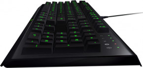 + / Razer Cynosa (RZ84-01470200-B3R1) 5