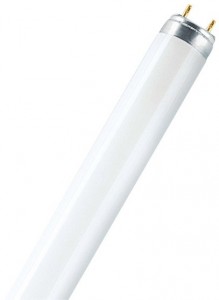   Osram L 36W/840 Lumilux