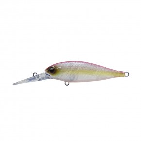  Ever Green Bank Shad # 54