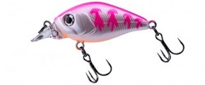  Fishycat Icat 32F-SR / X14