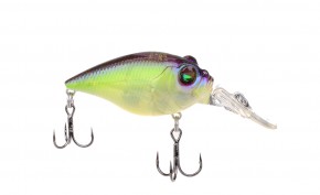  Megabass Quiet Griffon Mr-X Table Rock Sp 4