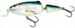  Salmo Frisky FR5SR RD