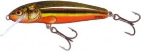  Salmo Minnow M7F RBD 3