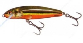  Salmo Minnow M7F RBD