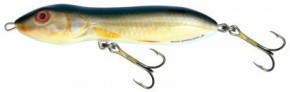  Salmo Maas Marauder MMJR-RR