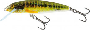   Salmo Minnow 5F / HRM