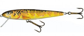  Salmo Whitefish SW13F T