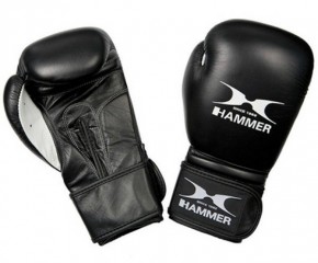   Hammer Premium Fitness 10 oz