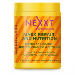    Nexxt Professional    1000 (4381021001952)