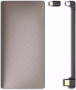   Puridea S1 10000mAh Li-Pol Cham Gold 3