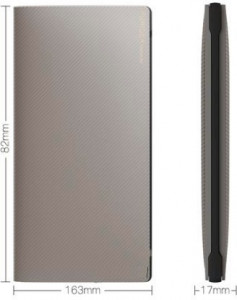   Puridea S1 10000mAh Li-Pol Cham Gold 4