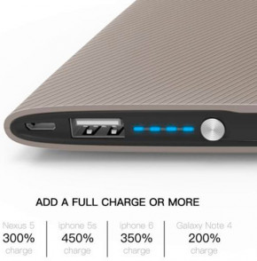   Puridea S1 10000mAh Li-Pol Cham Gold 5