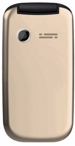   Bravis F243 Folder Dual Sim Gold 4