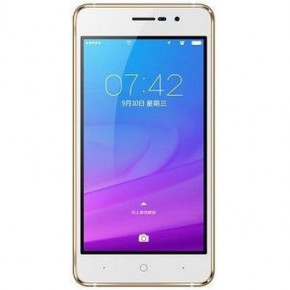  Doogee X10S 1/8Gb Mocha Gold *EU