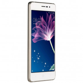   Doogee X10 Gold 4