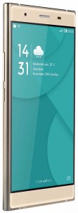   Doogee Y300 Gold 4