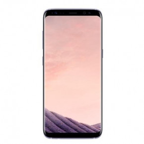  Samsung Galaxy S8 4/64GB Duos Gray (SM-G950FZVD) *EU