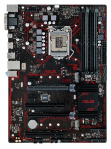   Asus s1151 B250 Prime B250-Plus