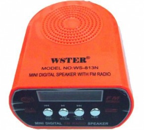 MP3 - Wanster WS-813N