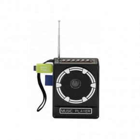   Wanster MP3 USB FM NS-017U 3