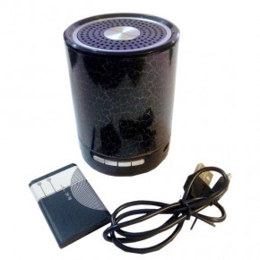   Wanster WST-2020 MP3 FM AUX Black 4