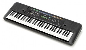  Yamaha PSR-E253 (+ )