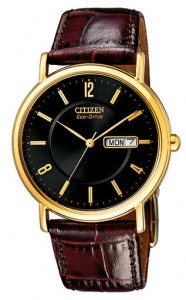   Citizen BM8243-05EE