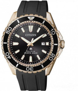   Citizen BN0193-17E