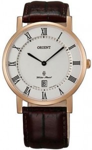   Orient FGW0100EW0