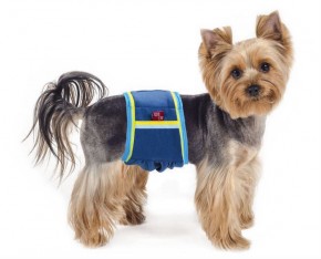   Pet Fashion XS