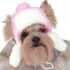     Pet Fashion  S