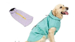     Pet Fashion 75 