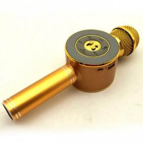    Wster WS-668 Bluetooth USB Gold 4