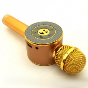    Wster WS-668 Bluetooth USB Gold 5