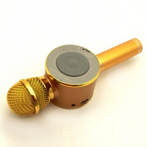    Wster WS-668 Bluetooth USB Gold 6