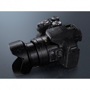   Panasonic Lumix DMC-FZ300 19