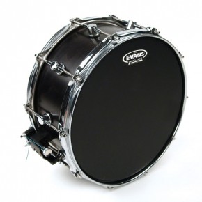   Evans B14ONX2 14 Onyx 2-Ply 3