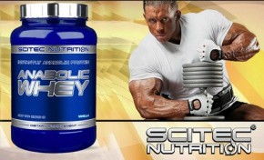  Scitec Nutrition Anabolic Whey 900  3