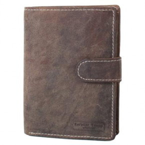    Cavaldi DNKN01L-HT-brown