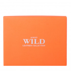    Always Wild DNK2900-BIC-brown 10