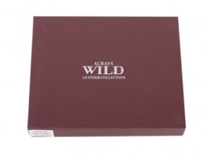    Always Wild DNKD1072-MNU-brown 5