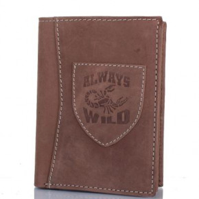    Always Wild DNKN4-SCH-brown